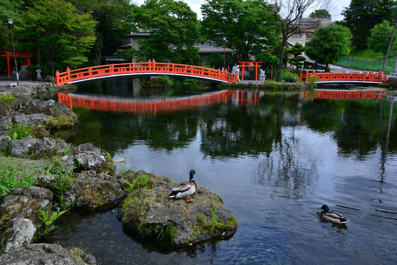 ⛩️ 후지산 혼구 센겐타이샤 이미지 4